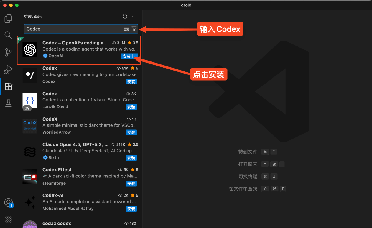 codex-config-024.png