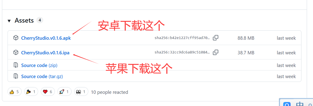 codex-config-033.png